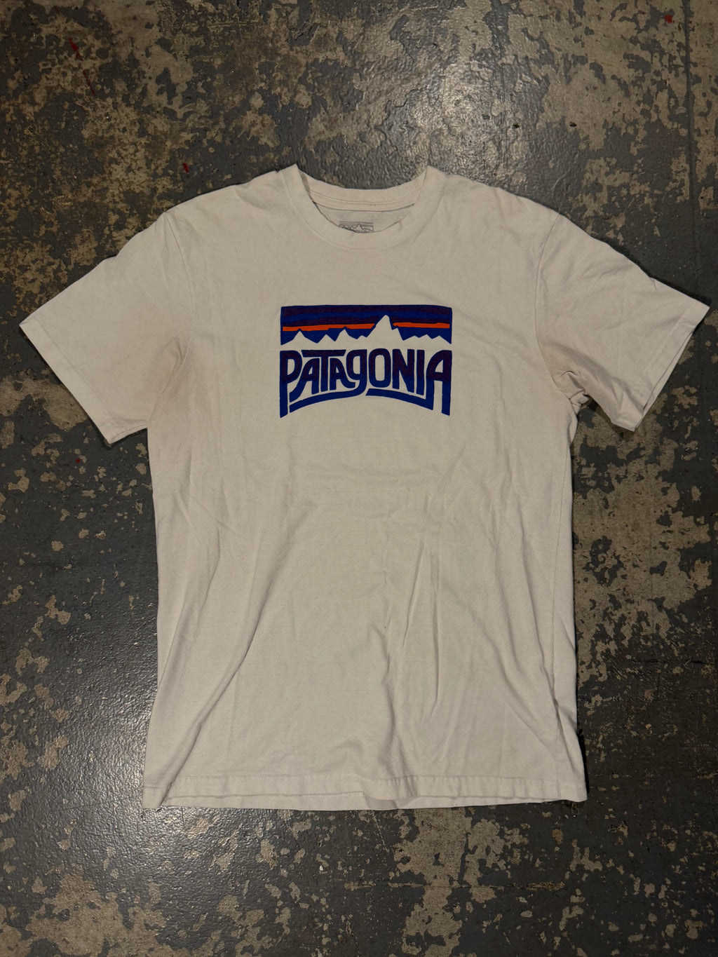 Patagonia Logo tshirt