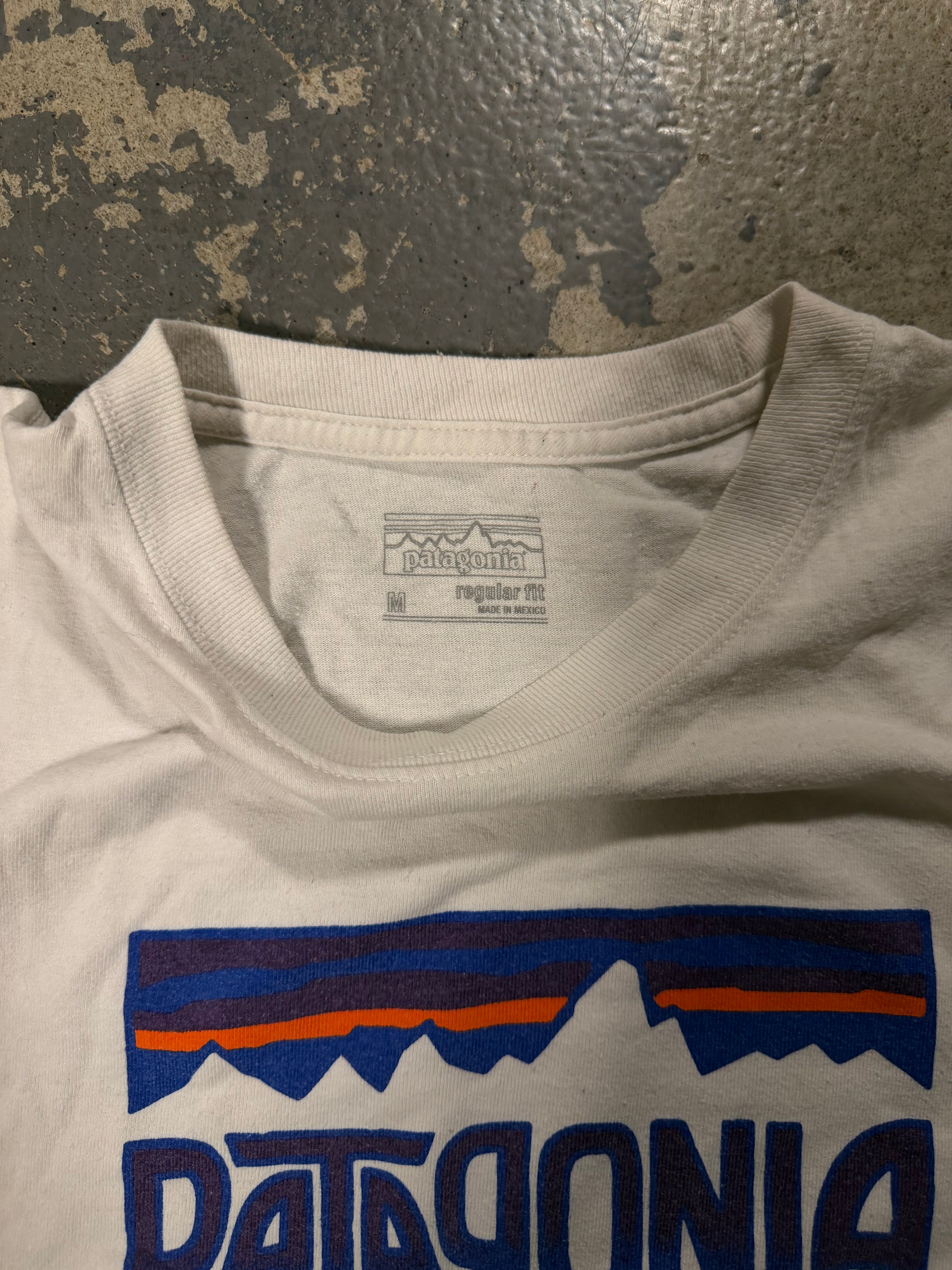 Patagonia Logo tshirt